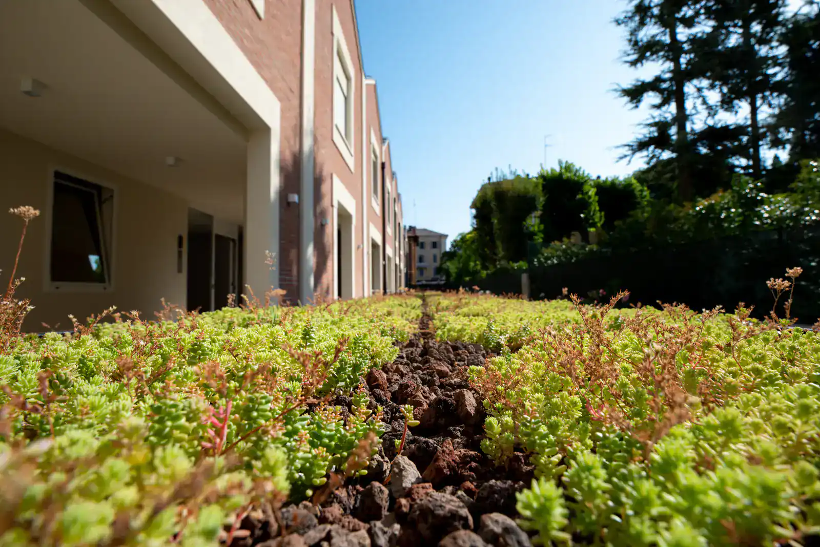 Copertura verde dell'intervento residenziale di via Schedoni
